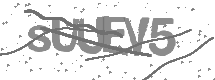 visual captcha